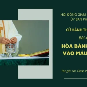 Cử hành Thánh Thể: Bài 42 - Hòa Bánh Thánh vào Máu Thánh