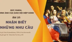 Đức Maria, Hình ảnh của Giáo hội hiệp hành: Bài 10 – Nhận biết những nhu cầu