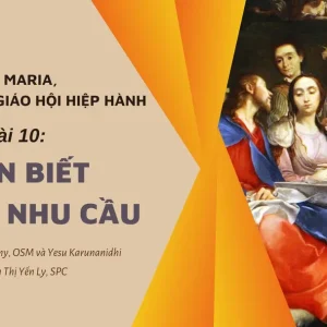 Đức Maria, Hình ảnh của Giáo hội hiệp hành: Bài 10 - Nhận biết những nhu cầu