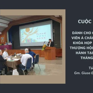 Cuộc gặp gỡ dành cho các Tham dự viên Á châu sẽ tham dự Khóa họp thứ hai của Thượng Hội Đồng vào tháng 10/2024 tại Rôma