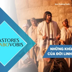 Yêu như Thầy đã yêu: Trưởng thành và quân bình cảm tính trong đời sống độc thân linh mục