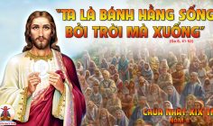 CÁC BÀI SUY NIỆM LỜI CHÚA CHÚA NHẬT XIX THƯỜNG NIÊN-B