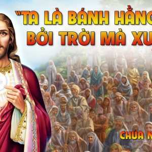 CÁC BÀI SUY NIỆM LỜI CHÚA CHÚA NHẬT XIX THƯỜNG NIÊN-B