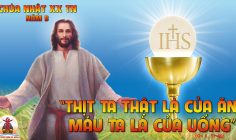 CÁC BÀI SUY NIỆM LỜI CHÚA CHÚA NHẬT XX THƯỜNG NIÊN-B