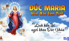 15.8.2024 –Thứ Năm Tuần XIX Mùa Thường Niên: Đức Maria Hồn Xác Lên Trời