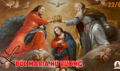 22.08.2024 – Thứ Năm Tuần XX Thường Niên: Đức Maria Nữ Vương