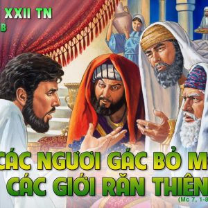CÁC BÀI SUY NIỆM LỜI CHÚA CHÚA NHẬT XXII THƯỜNG NIÊN-B