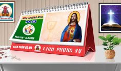 Lịch Phụng vụ từ ngày 11.8.2024 đến 18.8.2024