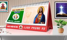 Lịch Phụng vụ từ ngày 18.8.2024 đến 25.8.2024