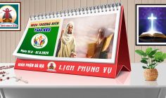 Lịch Phụng vụ từ ngày 01.9.2024 đến 08.9.2024