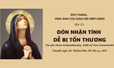 Đức Maria, Hình ảnh của Giáo hội hiệp hành: Bài 11 – Đón nhận tính dễ bị tổn thương