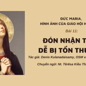 Đức Maria, Hình ảnh của Giáo hội hiệp hành: Bài 11 - Đón nhận tính dễ bị tổn thương