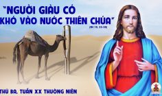 20.08.2024 – Thứ Ba Tuần XX Thường Niên