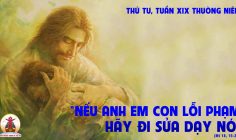 14.08.2024 – Thứ Tư Tuần XIX Thường Niên