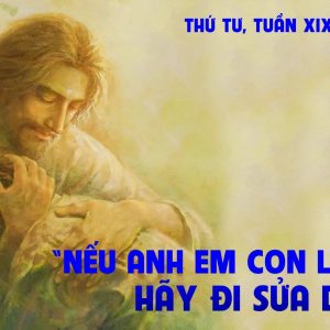 14.08.2024 – Thứ Tư Tuần XIX Thường Niên