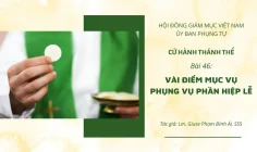 Cử hành Thánh Thể: Bài 46 – Vài điểm mục vụ phụng vụ phần hiệp lễ