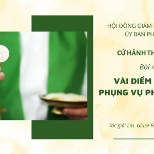 Cử hành Thánh Thể: Bài 46 - Vài điểm mục vụ phụng vụ phần hiệp lễ