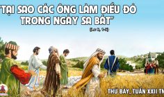 07.09.2024 – Thứ Bảy Tuần XXII Thường Niên
