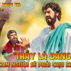 CÁC BÀI SUY NIỆM LỜI CHÚA CHÚA NHẬT XXIV THƯỜNG NIÊN-B