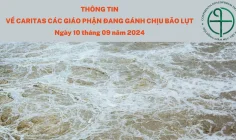 Thông tin về Caritas các giáo phận đang gánh chịu bão lụt
