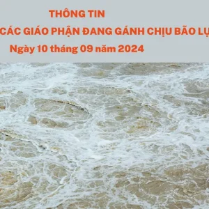 Thông tin về Caritas các giáo phận đang gánh chịu bão lụt