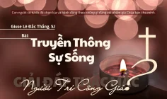 Giải đáp thắc mắc cho người trẻ: Bài 140 – Truyền thông sự sống
