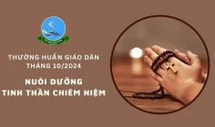 Ủy ban Giáo dân – Thường huấn tháng 10/2024: Nuôi dưỡng tinh thần chiêm niệm
