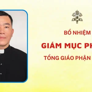 Bổ nhiệm Giám mục Phụ tá tổng giáo phận Hà Nội