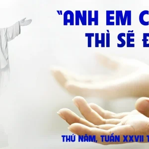 10.10.2024 – Thứ Năm Tuần XXVII Thường Niên
