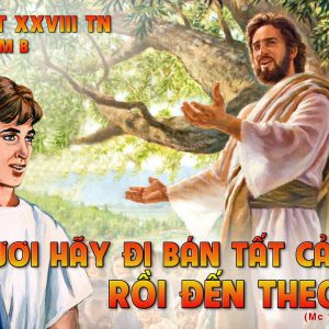 CÁC BÀI SUY NIỆM LỜI CHÚA CHÚA NHẬT XXVIII THƯỜNG NIÊN-B