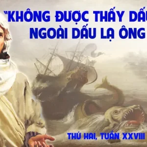 14.10.2024 – Thứ Hai Tuần XXVIII Thường Niên