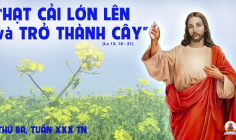 29.10.2024 – Thứ Ba Tuần XXX Thường Niên