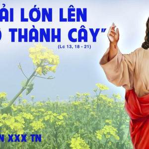 29.10.2024 – Thứ Ba Tuần XXX Thường Niên