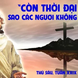 25.10.2024 – Thứ Sáu Tuần XXIX Thường Niên 