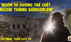 31.10.2024 – Thứ Năm Tuần XXX Thường Niên  