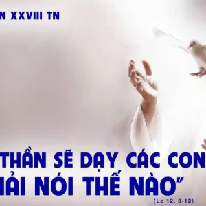 19.10.2024 – Thứ Bảy Tuần XXVIII Thường Niên