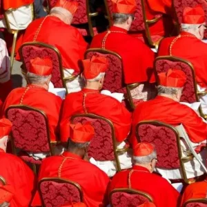 Sự ngạc nhiên của một vài tân Hồng y và ý hướng của Đức Thánh Cha Phanxicô