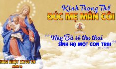 CÁC BÀI SUY NIỆM LỜI CHÚA LỄ ĐỨC MẸ MÂN CÔI