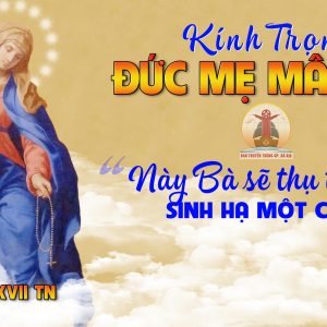 CÁC BÀI SUY NIỆM LỜI CHÚA LỄ ĐỨC MẸ MÂN CÔI