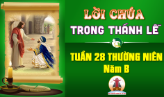 Lời Chúa trong thánh lễ Tuần 28 Thường niên – Năm B