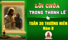 Lời Chúa trong thánh lễ Tuần 30 Thường niên – Năm B