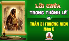 Lời Chúa trong thánh lễ Tuần 31 Thường niên – Năm B