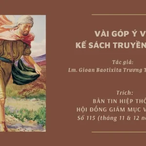 Vài góp ý về kế sách truyền giáo