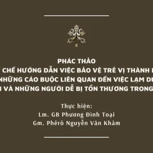 Phác thảo Quy chế hướng dẫn việc bảo vệ trẻ vị thành niên và xử lý những cáo buộc liên quan đến việc lạm dụng trẻ vị thành niên và những người dễ bị tổn thương trong Hội thánh
