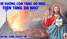 26.11.2024 – Thứ Ba Tuần XXXIV Thường Niên