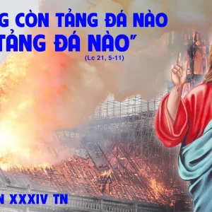 26.11.2024 – Thứ Ba Tuần XXXIV Thường Niên