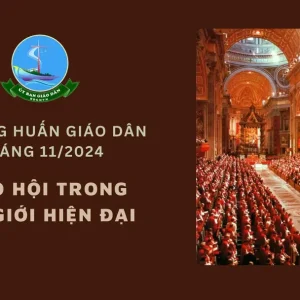 Ủy ban Giáo dân - Thường huấn tháng 11/2024: Giáo hội trong thế giới hiện đại