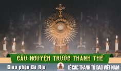 Cầu nguyện trước Thánh Thể- Ngày 17.11.2024 – Lễ Các Thánh Tử Đạo Việt Nam B – Lc 9, 23-26