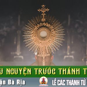Cầu nguyện trước Thánh Thể- Ngày 17.11.2024 – Lễ Các Thánh Tử Đạo Việt Nam B – Lc 9, 23-26