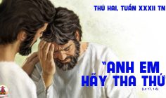 11.11.2024 – Thứ Hai Tuần XXXII Thường Niên